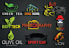 do professional business logo design