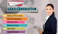 do lead generation, email list, web and google map scraping