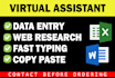 do fast data entry, typing work, professional copy paste and web research