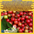 create an eyecatching and mindblowing fun facts