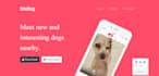 make a custom design landing page
