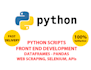 write python programs and front end development