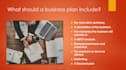 write a professional and detailed business plan