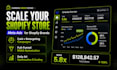 scale your shopify store with profitable meta ads