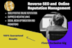 perform reverse SEO, online reputation management, ORM for your brand