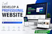 develop a professional website