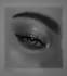 draw a professional realistic pencil portrait