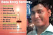 do data entry, data mining, web research, copy paste and data scraping