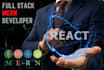 develop  react js website as react developer