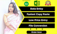 do low price data entry in google or excel sheets