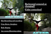 edit fast photographs in photoshop