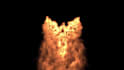 do 3d pyro explosion, fire, smoke simulation in houdini fx
