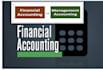 do your financial accounting, auditing, financial statement analysis task