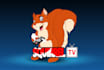 create awesome character, mascot, animal, or cartoon logo