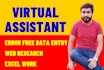 do excel data entry, web research, data entry, copy paste, virtual assistant