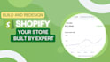 build shopify and dropshipping store with premium theme