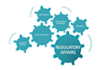 write ctd dossier and consultation on regulatory affairs