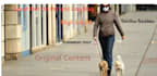 write a guest post on dogs blog da40