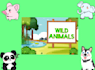 make creative, interesting video about safari animal