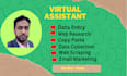 be your virtual assistant for data entry, web research, copypaste