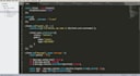 develop and program a  professional custom discord bot