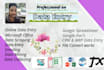 do data entry, web scraping and copy paste works