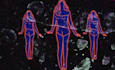 make trippy psychedelic amimated lyric video and music visuals