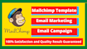 create mailchimp template, email marketing and campaign
