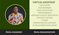be your professional virtual assistant and web researcher