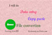 do data entry,copy paste,file conversion