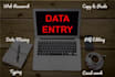 do fastest data entry, copy paste, word and excel entry