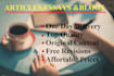 write essays, articles and blog post