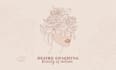 design feminine, hand drawn, botanical, boho logo that will stand out