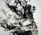 make any picture have a smoke effect for poster or t shirt