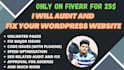 audit and fix your wordpress website