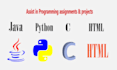 professionally assist in programming assignments and projects