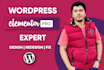 design your wordpress website with elementor pro or  redesign with elementor pro