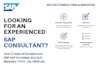 be your sap consultant and trainer