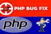 fix and debug wordpress error and issues within 1 hour