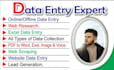 do data entry, data collection, copy past and so on