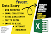 do data entry, email collection, and web research