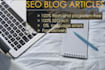write SEO articles for your blog or website