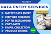 do fastest data entry in one day at a low price