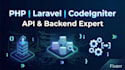 your professional php laravel api, codeigniter backend developer
