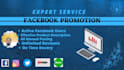 do excel data entry and facebook promotion in uas