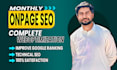 handle technical SEO and on page for better site performance