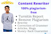 rewrite article, text, and blog