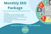 do monthly SEO package for google 1st page ranking