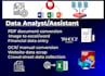 be data analyst, assistant for data entry, data extraction