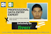 do fastest excel data entry and all admin works perfectly